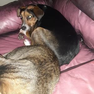 Meet your Posher, Adrianna